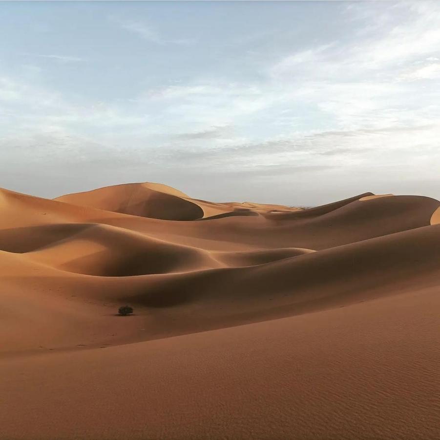 Chegaga Desert Trips Camp 姆哈米德 外观 照片