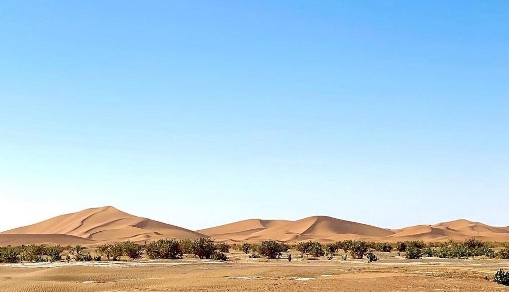 Chegaga Desert Trips Camp 姆哈米德 外观 照片