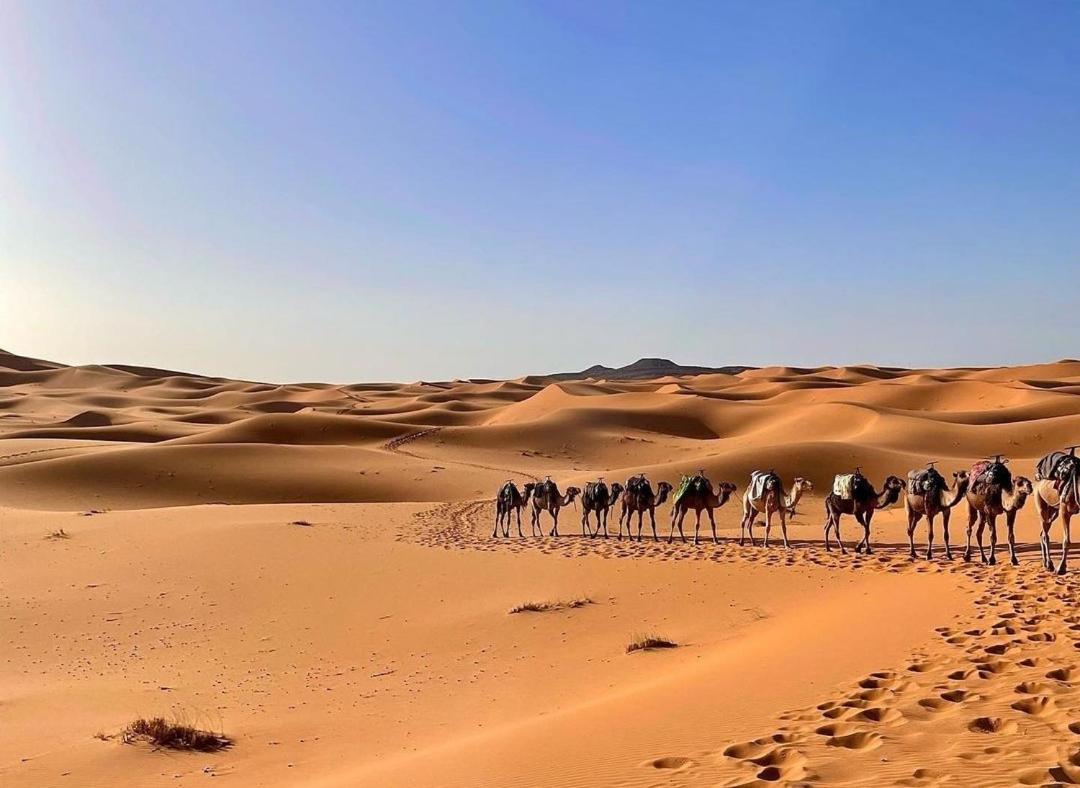 Chegaga Desert Trips Camp 姆哈米德 外观 照片