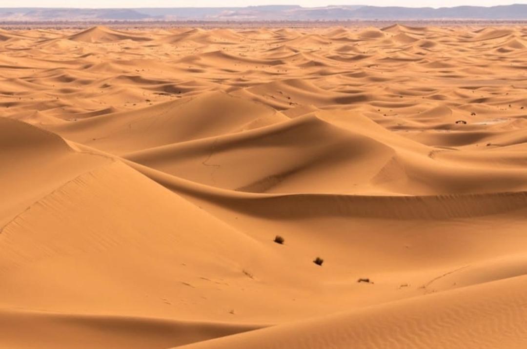 Chegaga Desert Trips Camp 姆哈米德 外观 照片